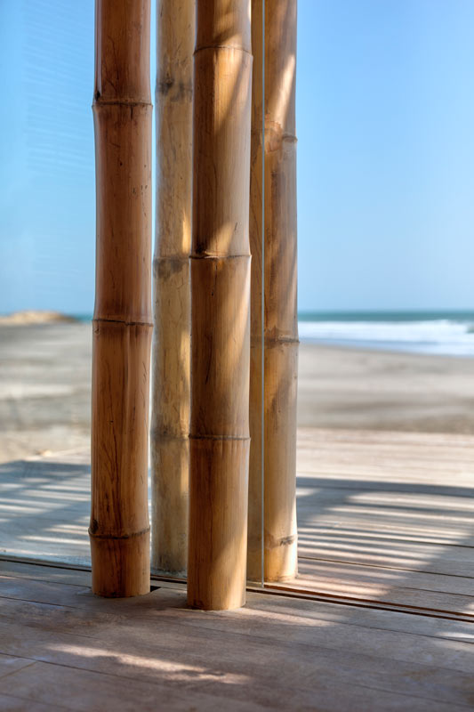 bamboo columns