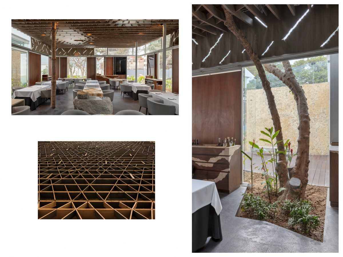 Arquitectura sostenible. Los árboles existentes fueron integrados a la arquitectura del restaurante. Sustainable architecture. The existing trees were integrated into the restaurant architecture.